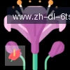 6T体育 logo